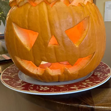 贝勒精品酒店 酒店 3*